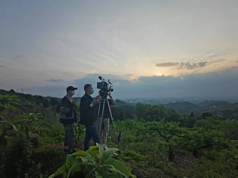 创意破圈！莲湖区电商产品宣传视频用故事化叙事引爆流量