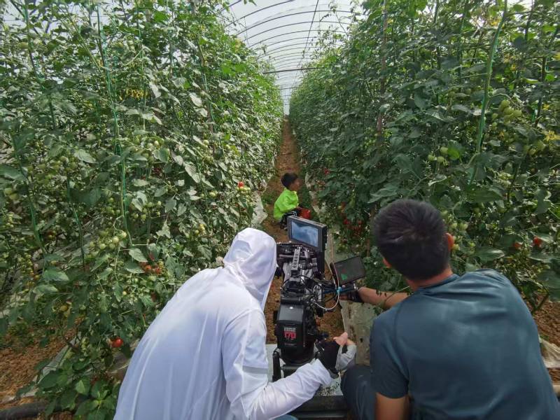 莲湖区产品宣传视频拍摄公司进阶指南，助力品牌抢占传播高地